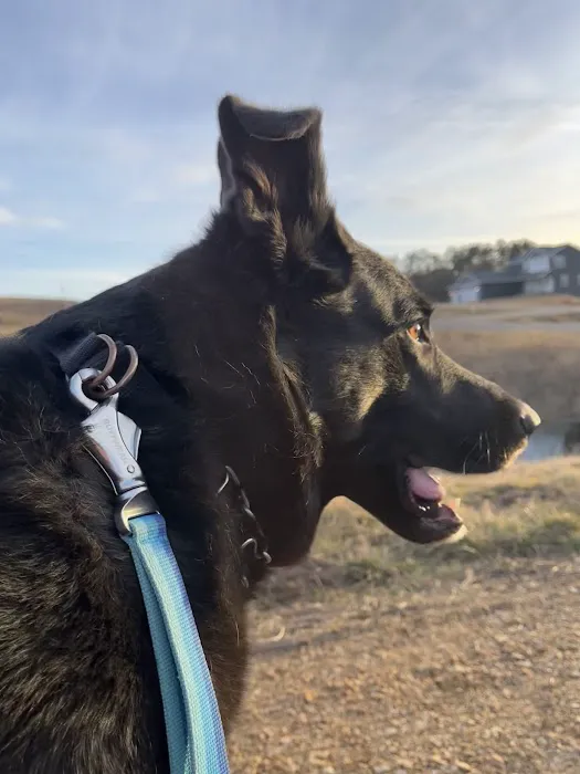 Croix Valley Veterinary Hospital 2