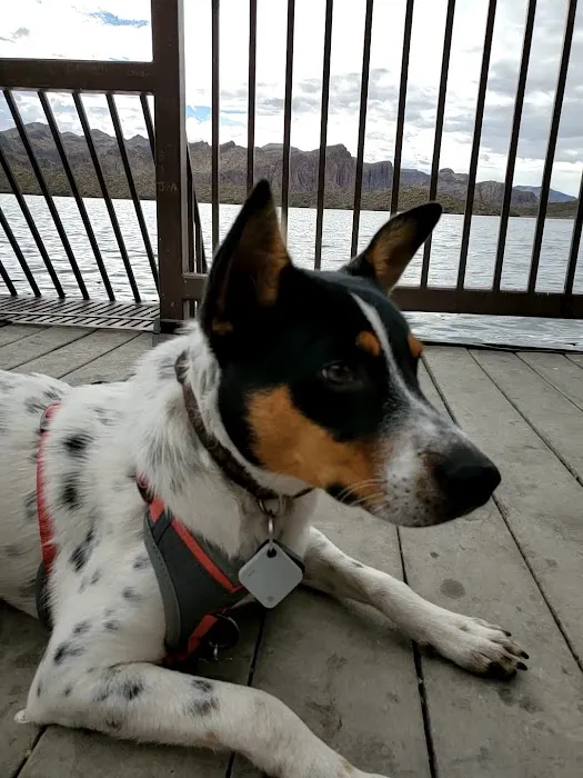 Scott Lake Veterinary Center 8