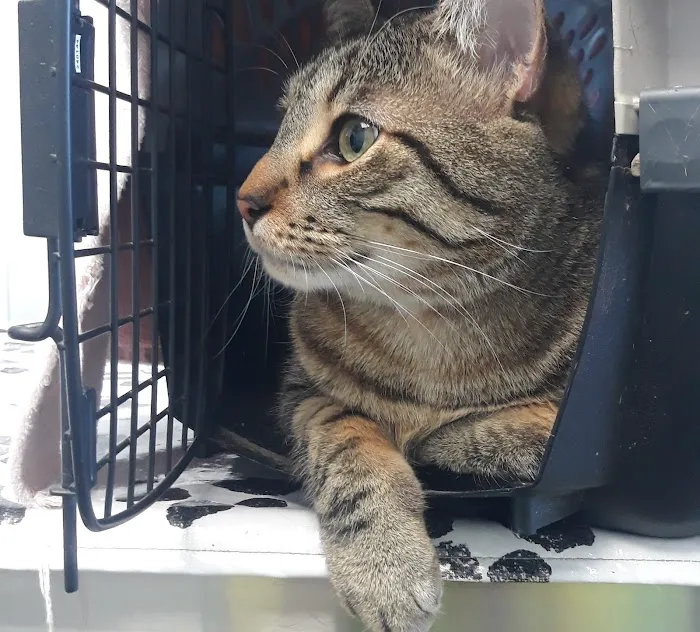 Scott Lake Veterinary Center 4