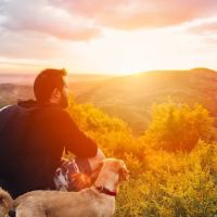River Valley Veterinary Service ico