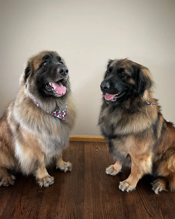 River Valley Veterinary Service 12