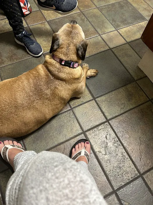 Marschall Road Animal Hospital 12