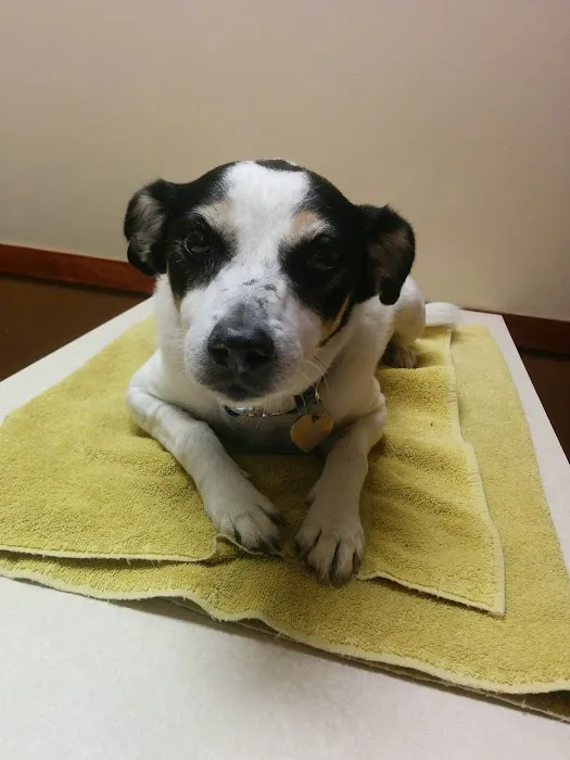 Marschall Road Animal Hospital 12