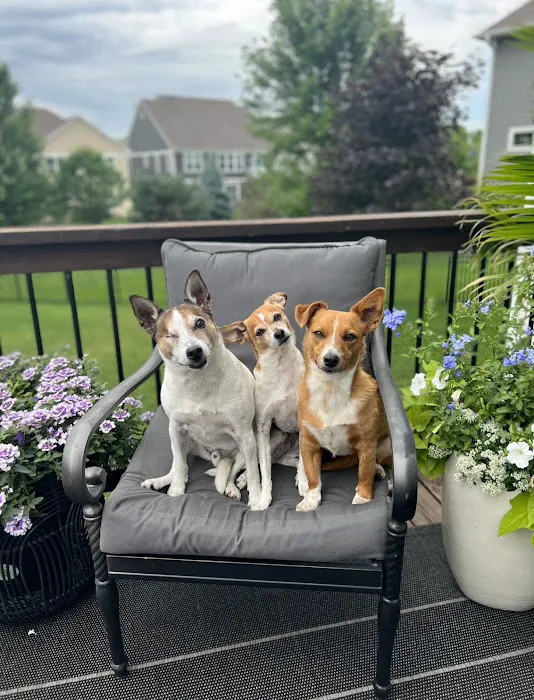 Prior Lake Pet Hospital - General and Urgent Care 7