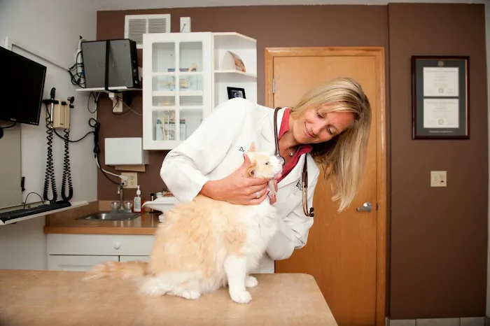 Prior Lake Pet Hospital - General and Urgent Care 6