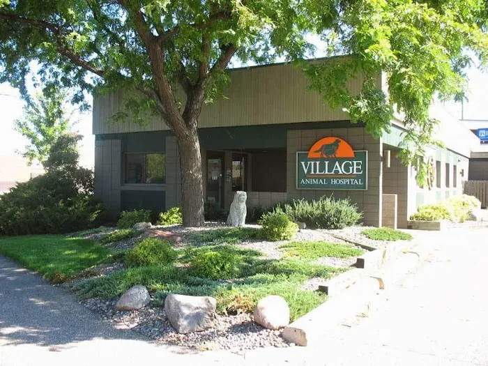 Village Animal Hospital 8