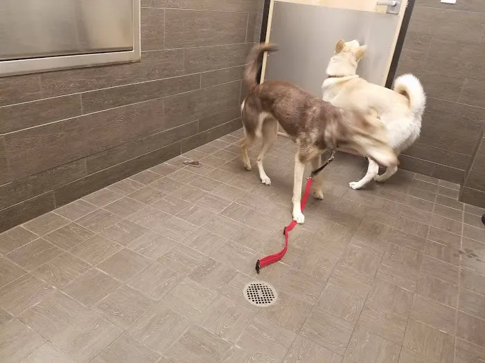 Banfield Pet Hospital 8