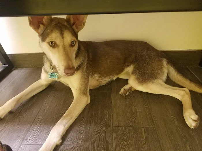 Banfield Pet Hospital 9