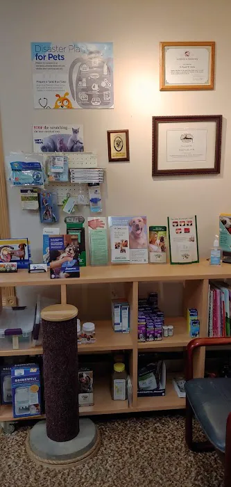 Main Street Veterinary Service 12