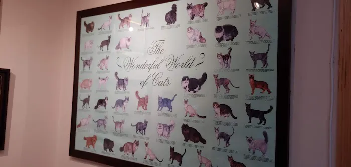 Main Street Veterinary Service 12