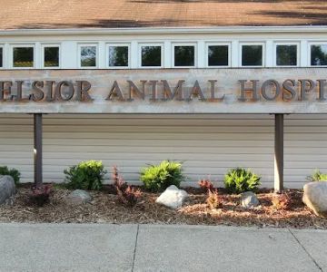 Excelsior Animal Hospital