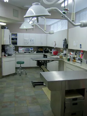 Excelsior Animal Hospital 7