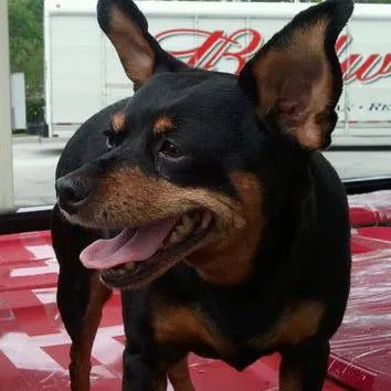 Vetco Total Care Animal Hospital 12