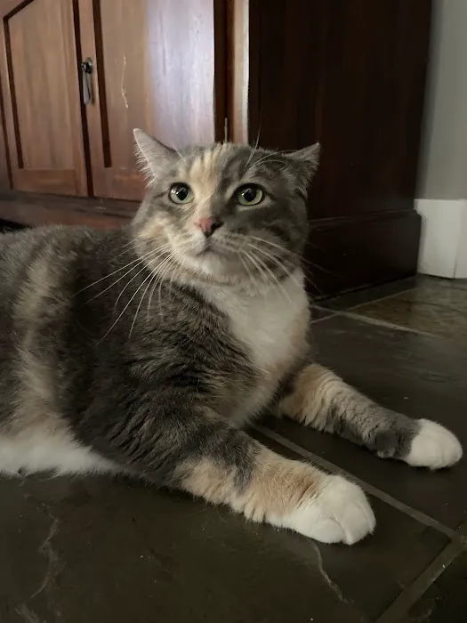 Vetco Total Care Animal Hospital 12