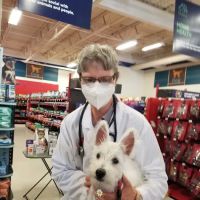 Vetco Vaccination Clinic ico