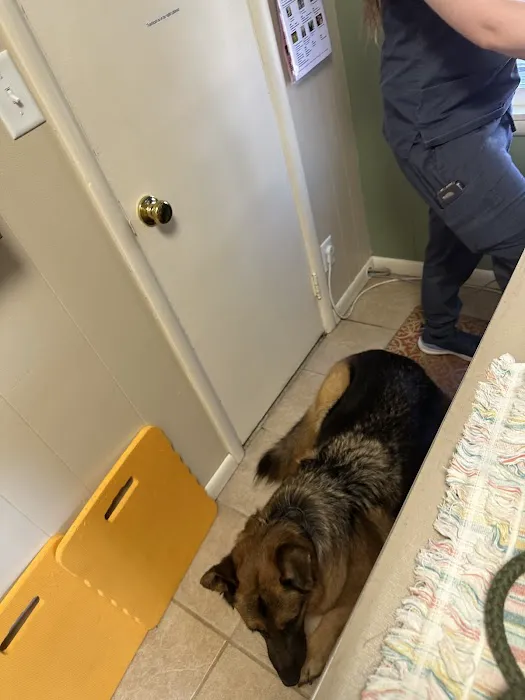 Lake Minnetonka Pet Wellness Center 12