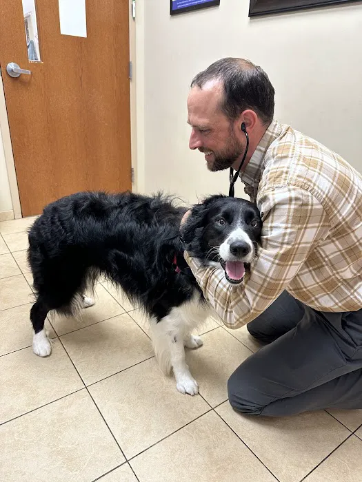 Lake Minnetonka Pet Wellness Center 12