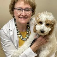 Lake Minnetonka Pet Wellness Center ico