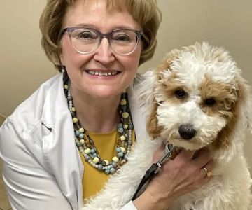 Lake Minnetonka Pet Wellness Center