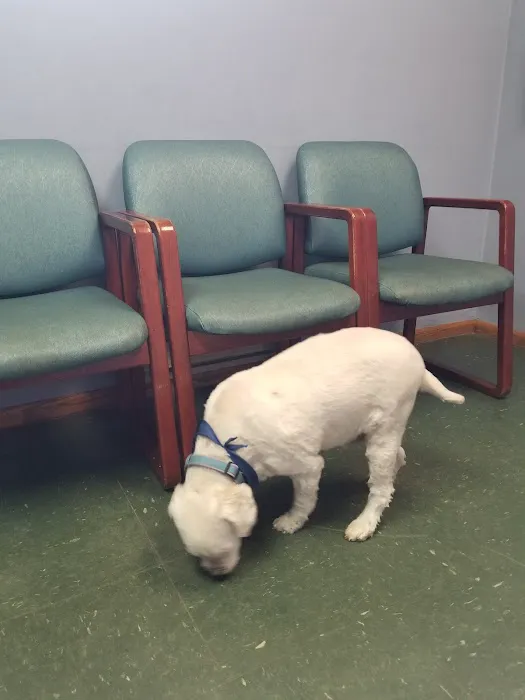 Ham Lake Vet Hospital PLLC 4