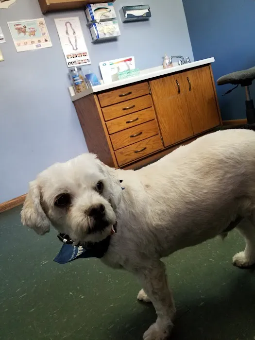 Ham Lake Vet Hospital PLLC 5