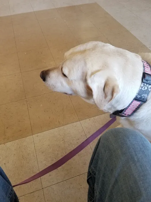Ham Lake Vet Hospital PLLC 10