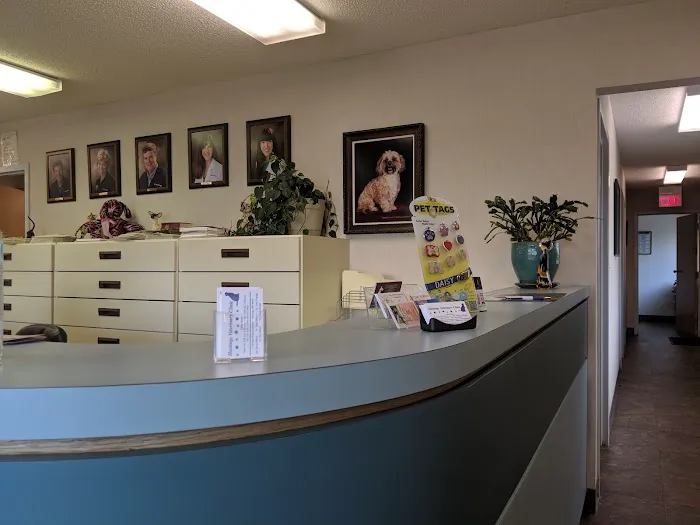 Hastings Veterinary Clinic Ltd 6