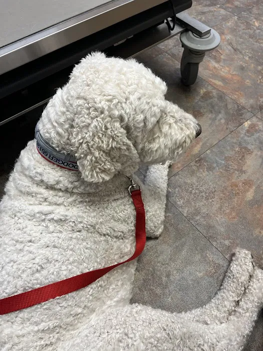 Hastings Veterinary Clinic Ltd 10