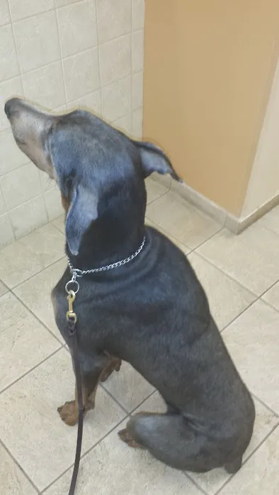Cleary Lake Veterinary Hospital 10