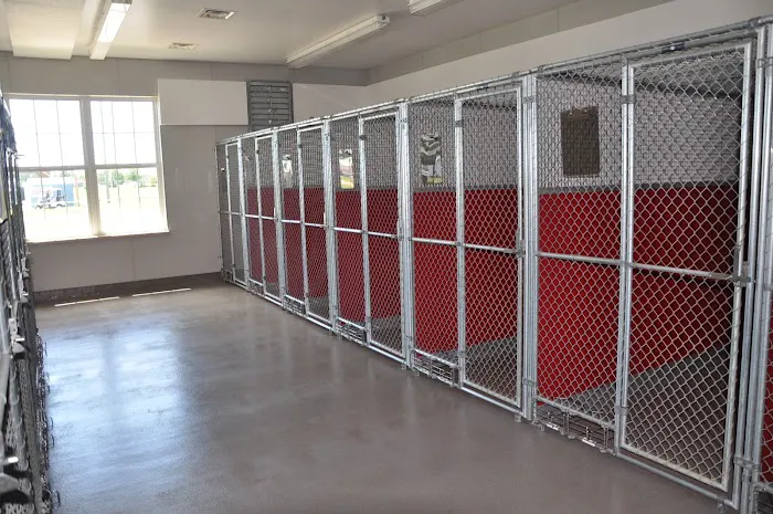 Bluffton Veterinary Hospital & Pet Care Center 6