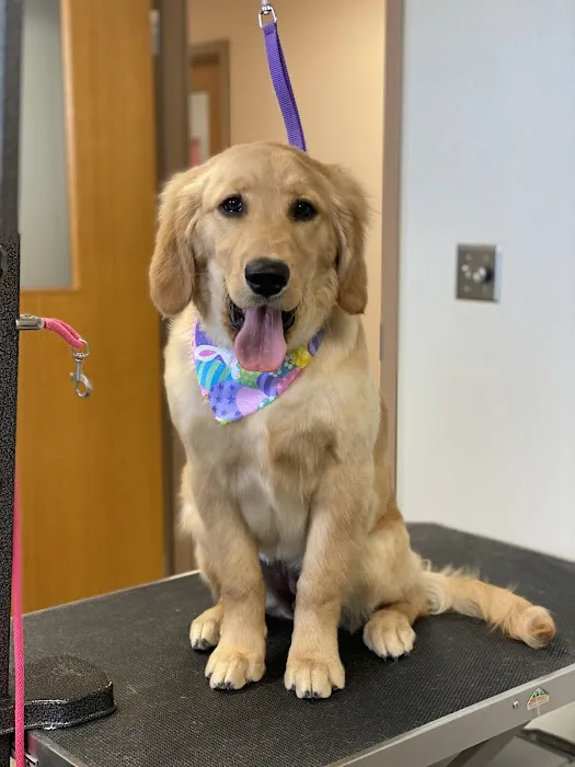 Bluffton Veterinary Hospital & Pet Care Center 1