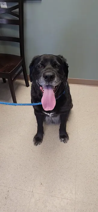 Owen's Ark Vet Clinic 4