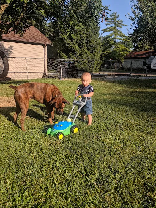 Owen's Ark Vet Clinic 3