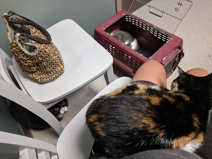 Owen's Ark Vet Clinic 10