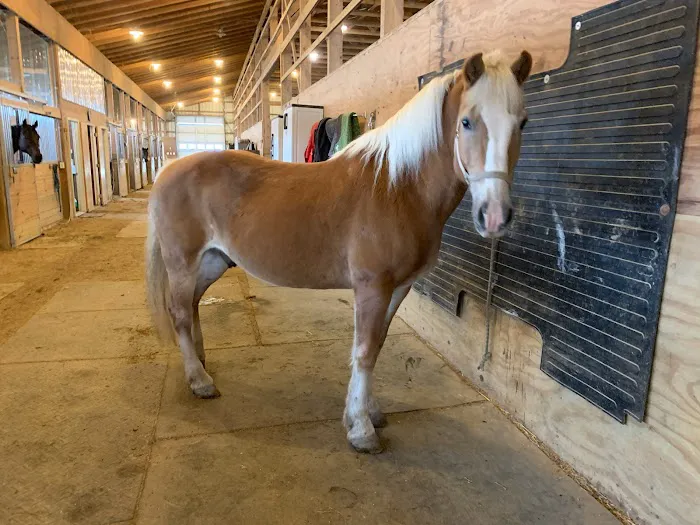 Owen's Ark Vet Clinic 6