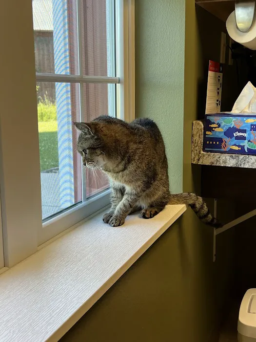 Owen's Ark Vet Clinic 7