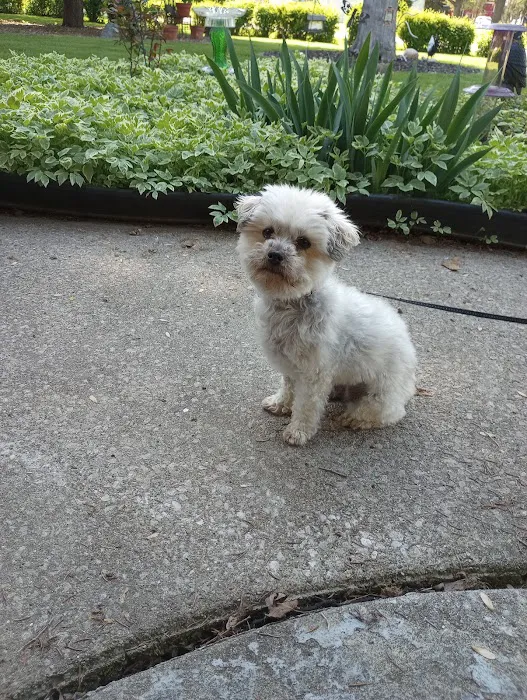 East Suburban Animal Clinic 1