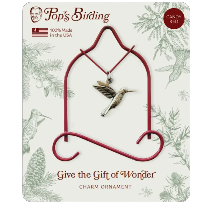 Pop's Birding 10