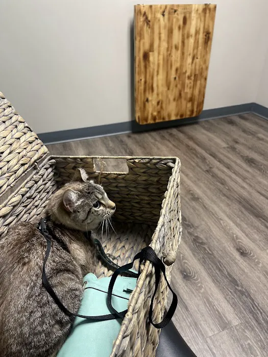 Easthaven Animal Hospital 4