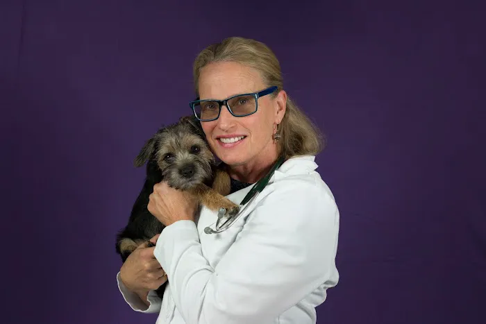 Easthaven Animal Hospital 7