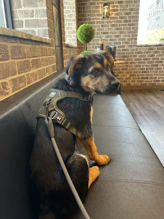 Easthaven Animal Hospital 9