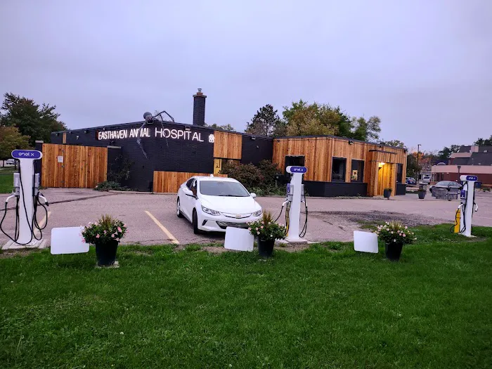 Easthaven Animal Hospital 8