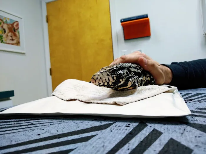All Creatures Animal Clinic 7