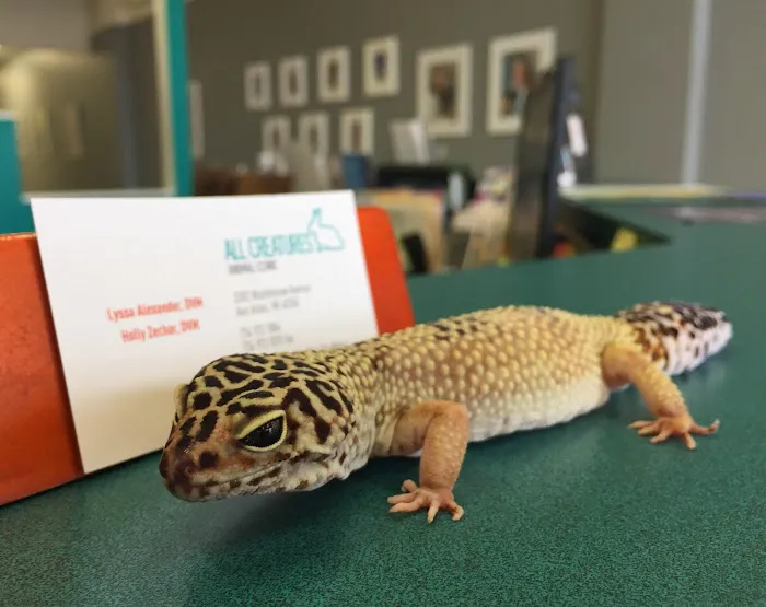 All Creatures Animal Clinic 3