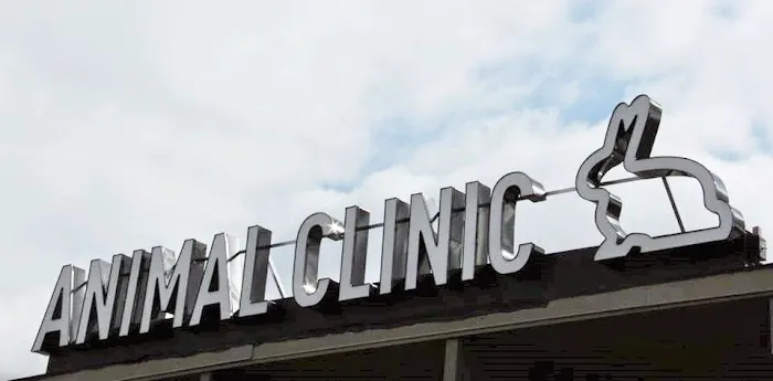 All Creatures Animal Clinic 10