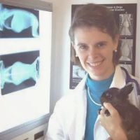 All Creatures Animal Clinic: Dr. Alexander, Dr. Zechar ico