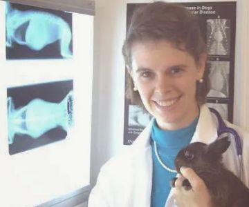 All Creatures Animal Clinic: Dr. Alexander, Dr. Zechar