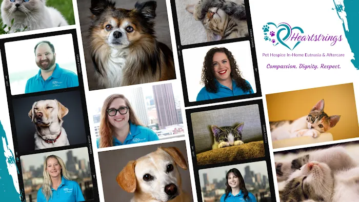 Heartstrings Pet Hospice In-Home Euthanasia & Aftercare - Ann Arbor 4