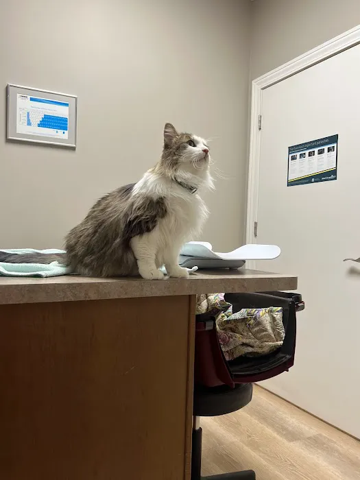 Uptown Veterinary Clinic 6