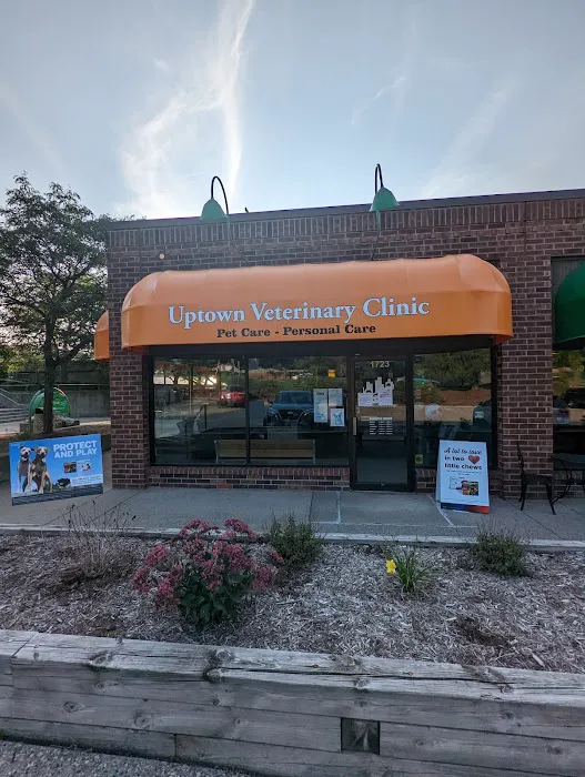 Uptown Veterinary Clinic 10